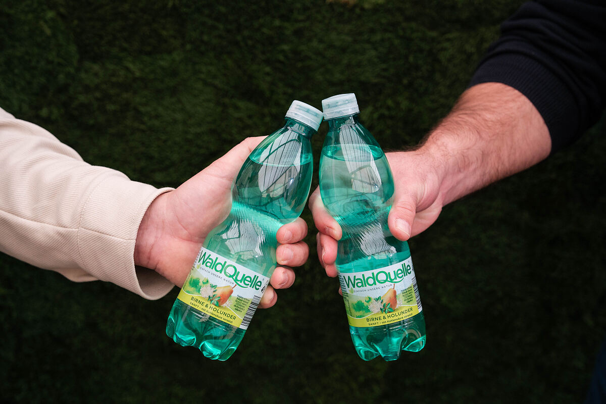 Bild2-WQ_BirneHolunder-cLauraJagoschuetz-6