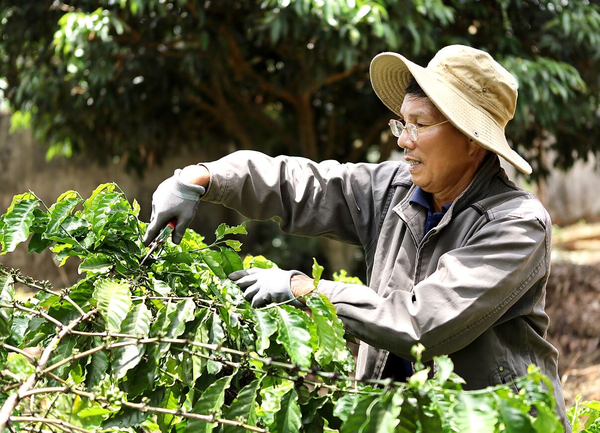 Vietnam_2023_Kaffeefarmer Nguyen Cong Trung