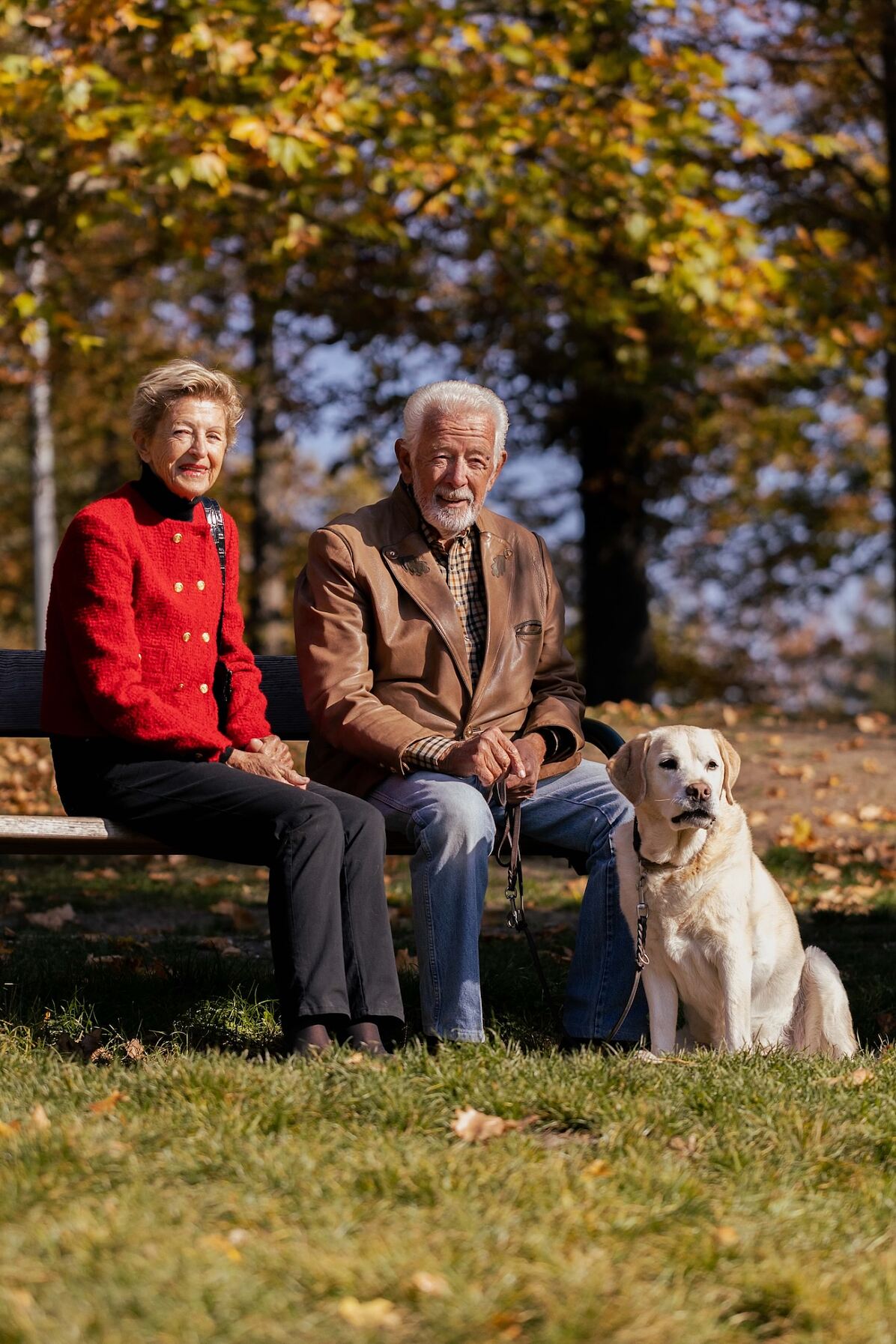 PURINA & „A G’spia fürs Tier“ suchen tierliebe Senior_innen in Wien!