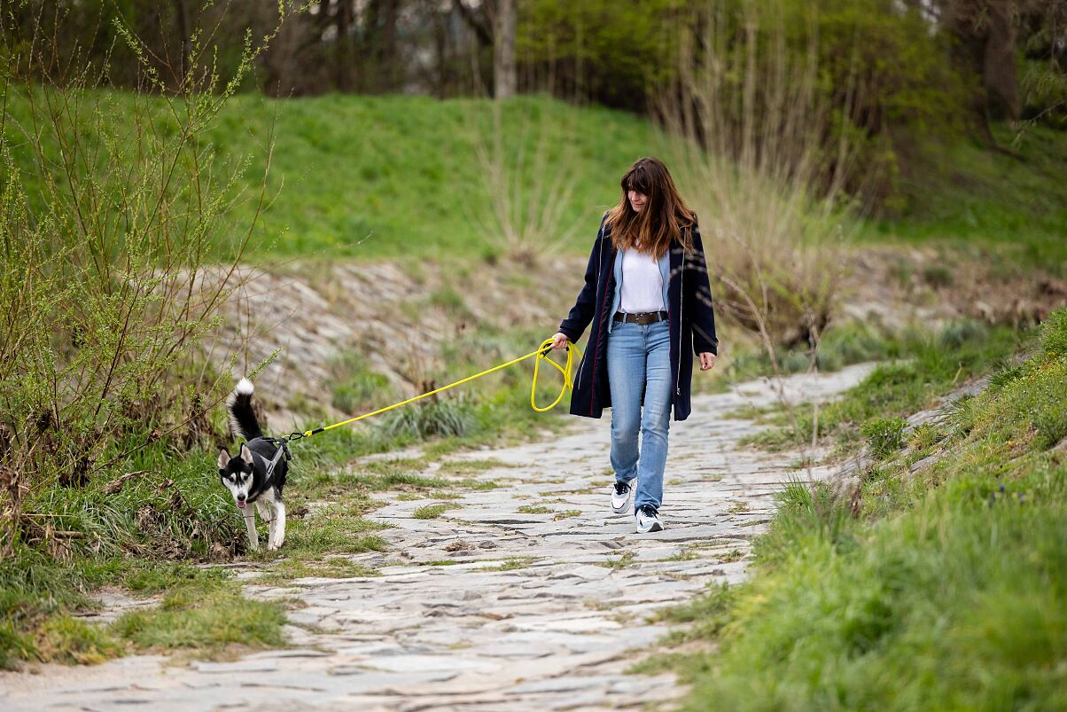 Sabine Rauscher, Projektkoordinatorin bei A G’spia fürs Tier, mit einem Pflegehund bei einem Spaziergang. 