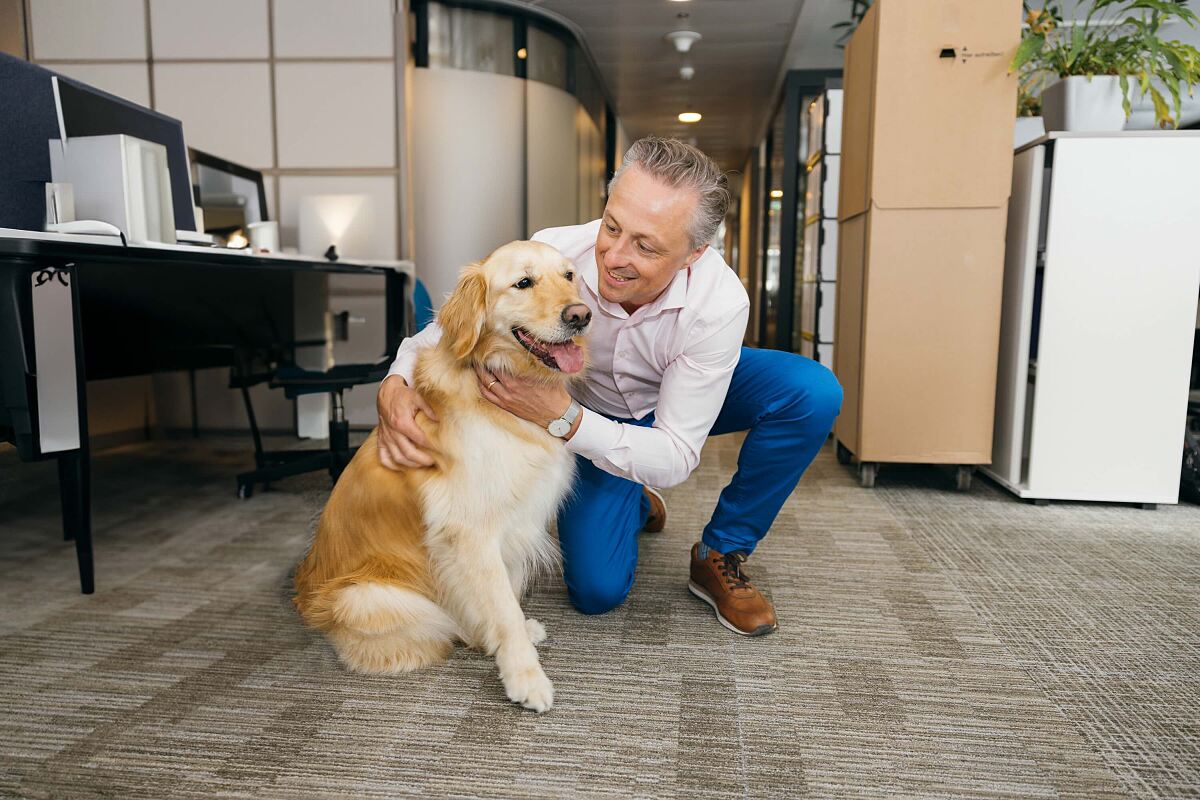 PURINA_PetsatWork(c)Florence_Stoiber