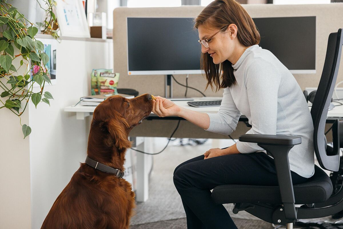 PURINA_PetsatWork_1©Florence_Stoiber