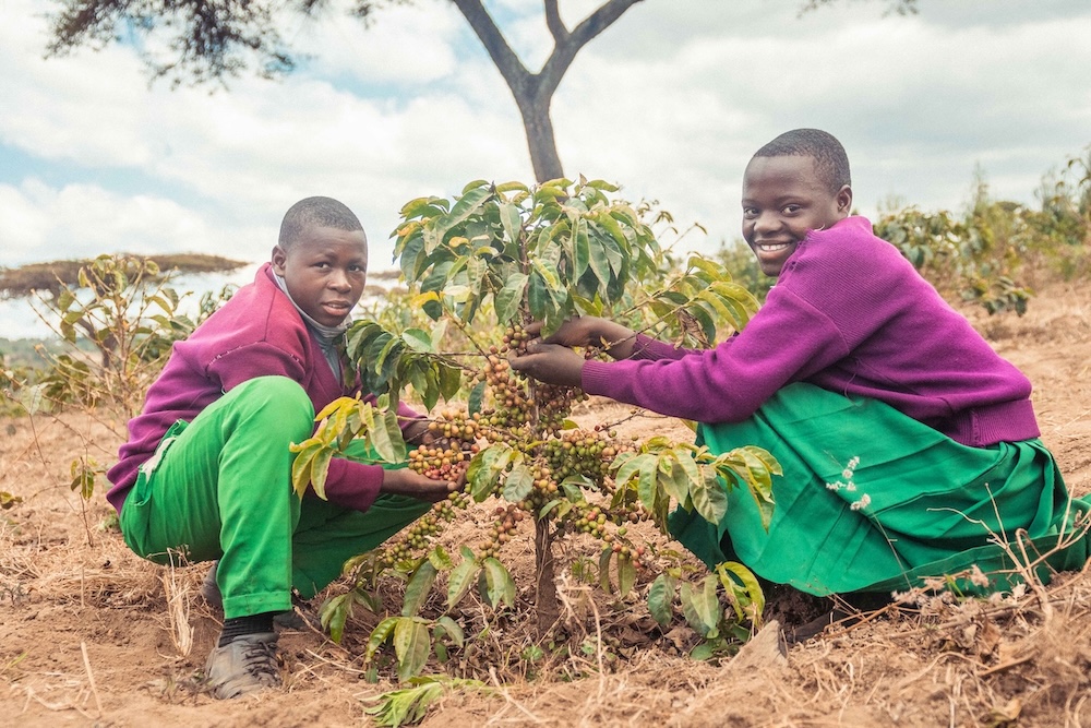 Tchibo_Projektkaffee_Kahawa Skuli_Msankwi School - Students in Farms