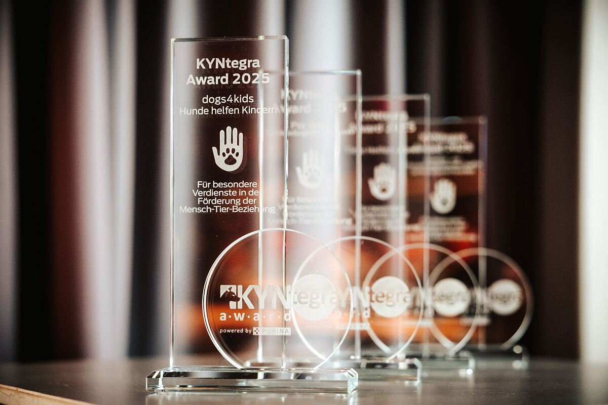 Die Trophäen des KYNtegra Awards 2025.