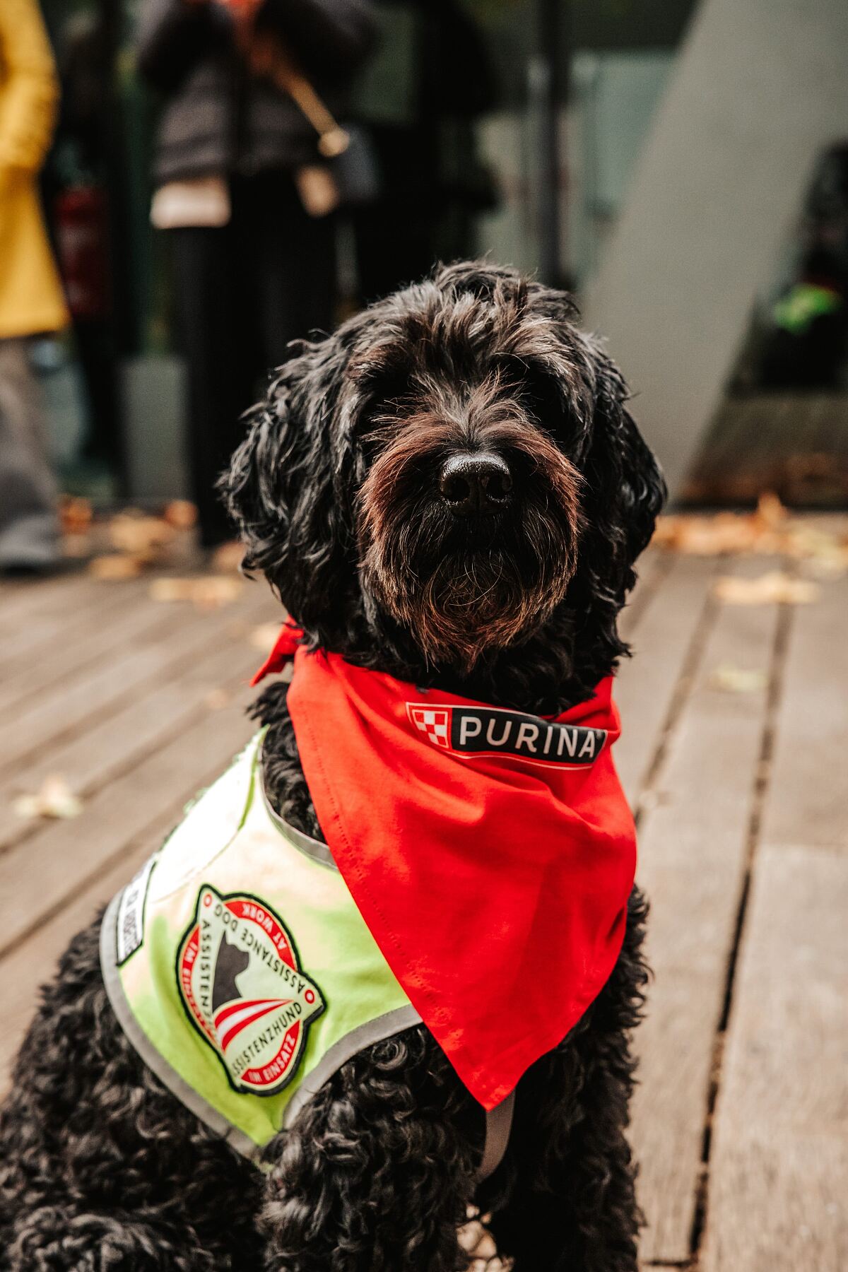 Assistenzhund Neo begeisterte die Gäste. 