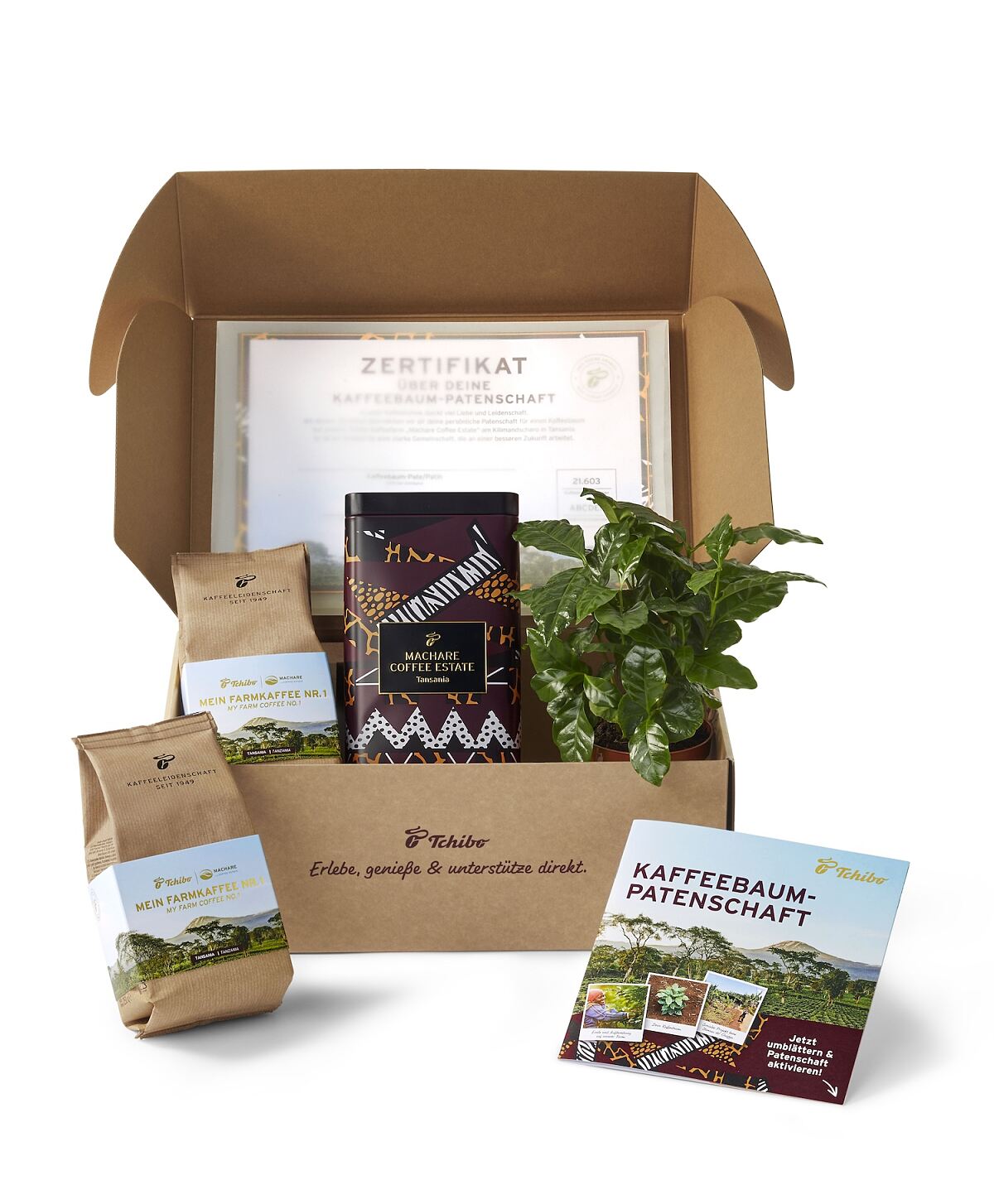 Tchibo Kaffeebaum-Patenschaft